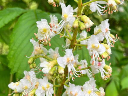 22-04-25 11-40-03 0621